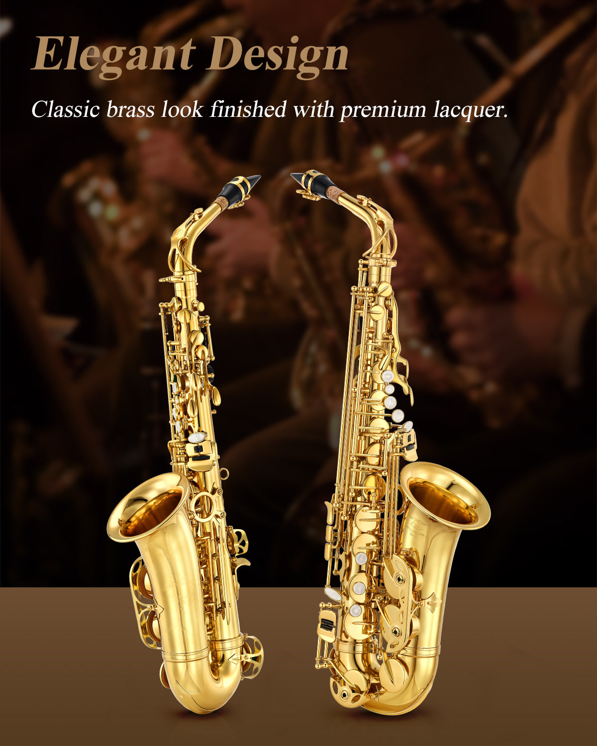 Eastar AS-Ⅱ E Flat Alto Saxophone Student Set