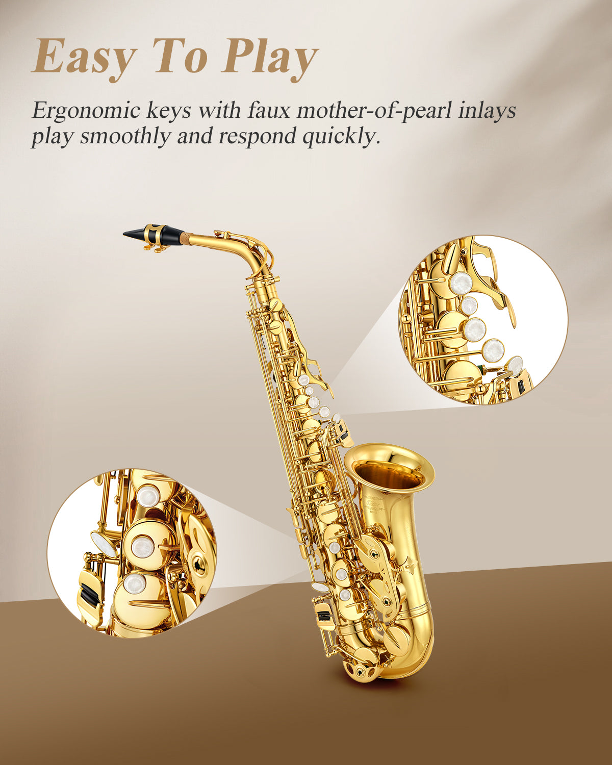 Eastar AS-Ⅱ E Flat Alto Saxophone Student Set