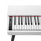 Donner OURA™ S100 88-key Home Digital Piano