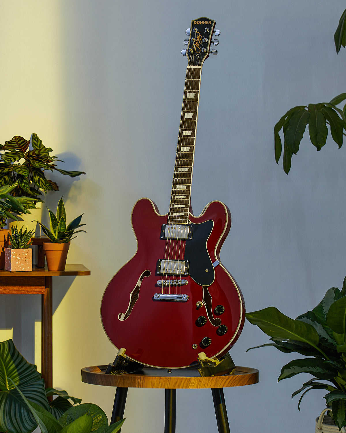 Donner DJP-1000 335 Style Electric Guitar Kit for Jazz Semi-Hollow Body with Dual H Pickups