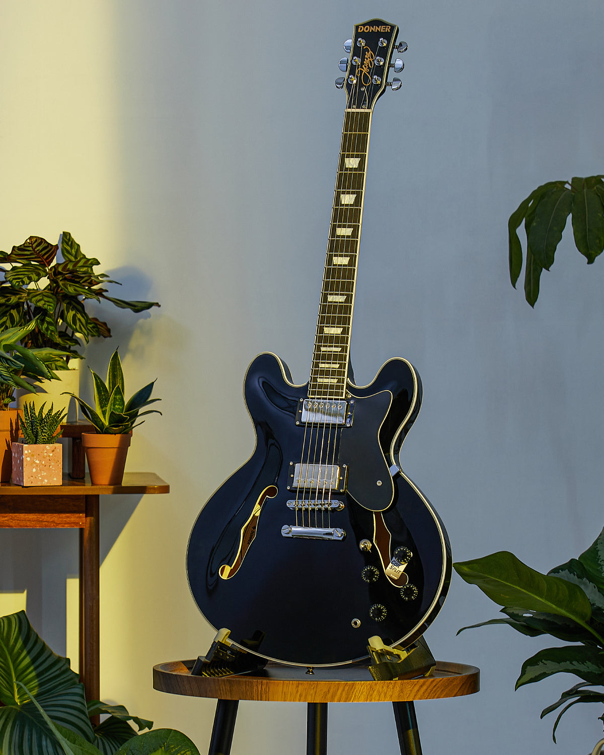 Donner DJP-1000 335 Style Electric Guitar Kit for Jazz Semi-Hollow Body with Dual H Pickups
