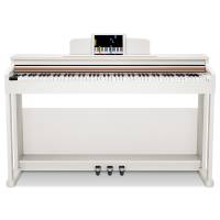 Donner DDP-100