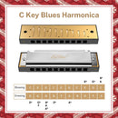 Eastar Major Blues Harmonica 7 Keys Diatonic Harmonica - Donner music-AU