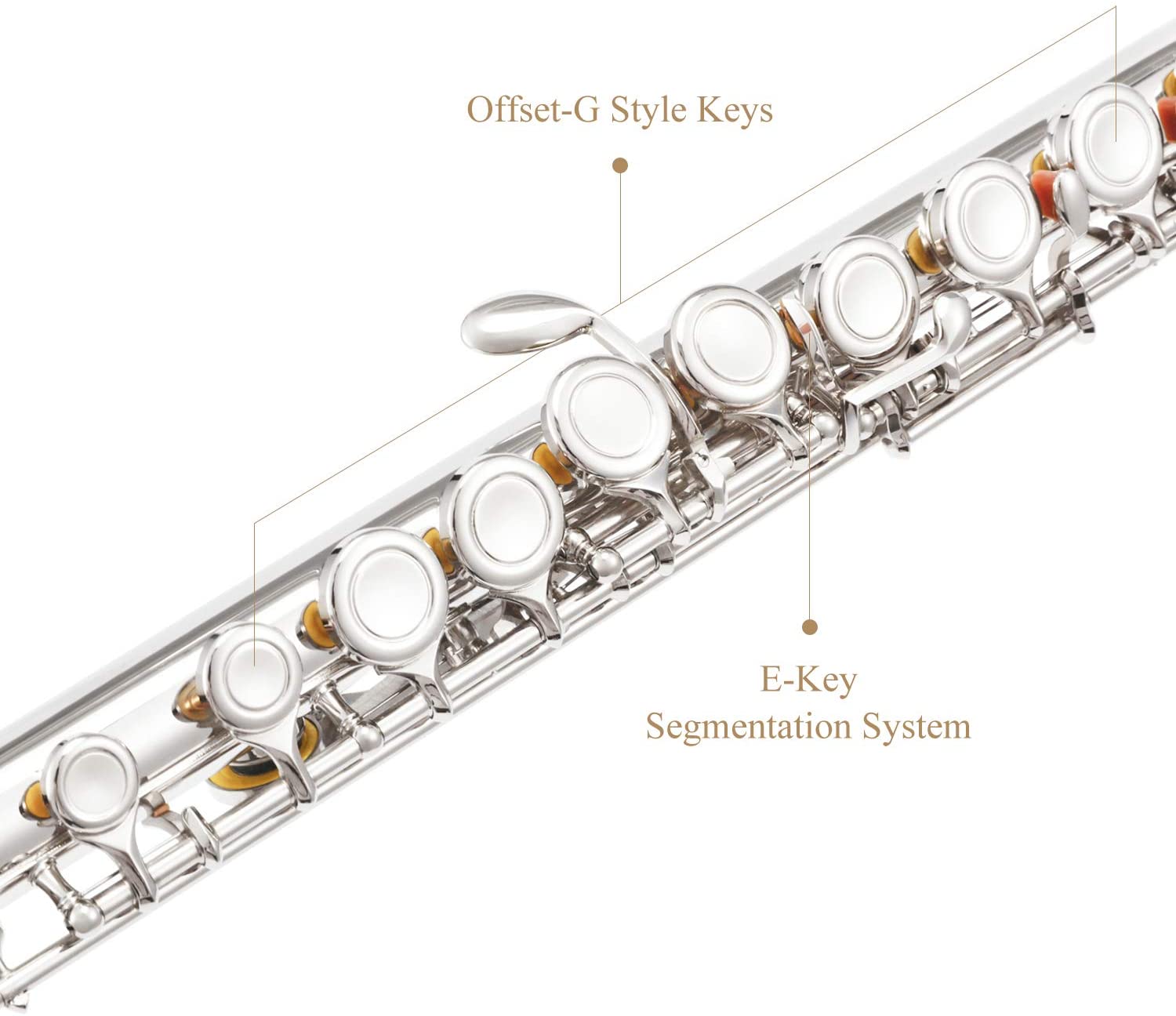 Eastar EFL-1 Closed Hole C Flutes 16 Key Nickel Beginner Flute Set With Carrying Case - Donner music-AU