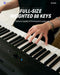 Donner SE-1 88 Weighted Hammer-Action Key Portable Lightweight Digital Piano Professional Arranger Keyboard donner music au