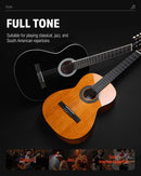 Donner DCG-162BR 39 Inch Classical Right Handed  Acoustic Guitar Beginner Kit Mahogany, Brown